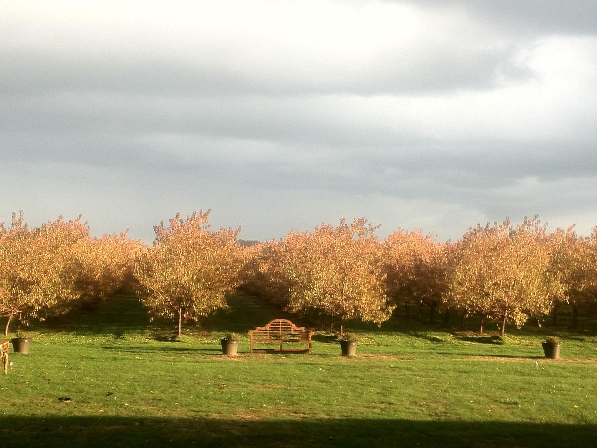 The Orchard Croft Boutique Country Retreat Bed and Breakfast Jordan Exteriör bild